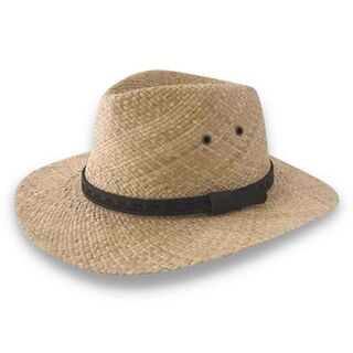 Sol Fedora