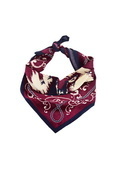 Scarves/Bandanas