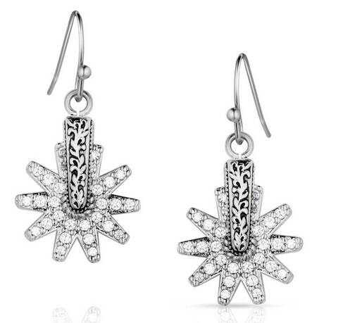 Montana - Spur of the Moment Earrings