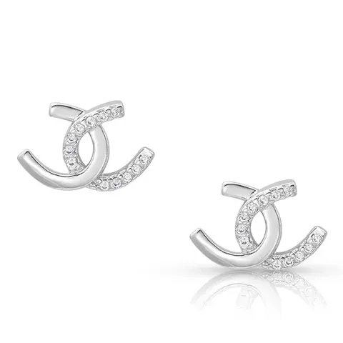 Montana Silversmith Horseshoe Happiness