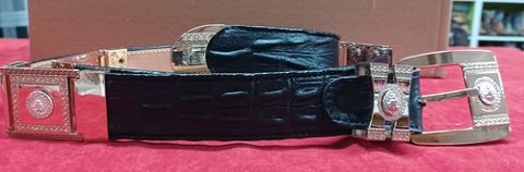Western Gold/Bling Plaque Belt